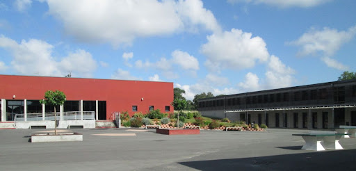  250 Chem. du Château, 33140 Cadaujac 